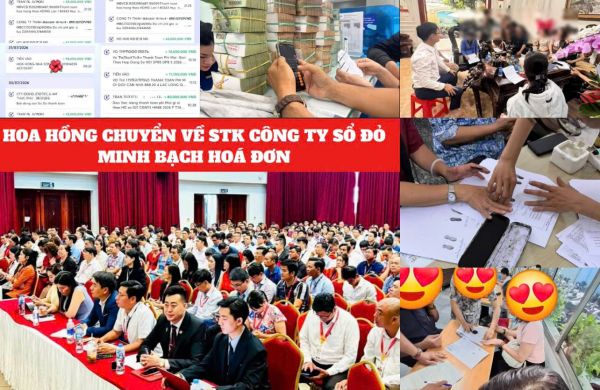 Thu nhập đột phá và đa dạng